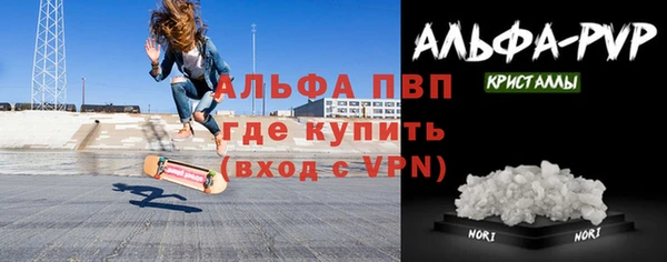 крисы Козельск