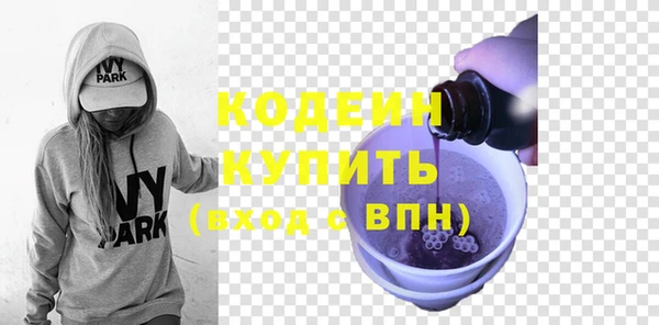 крисы Козельск