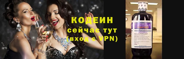 крисы Козельск