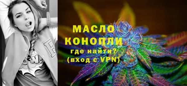 крисы Козельск