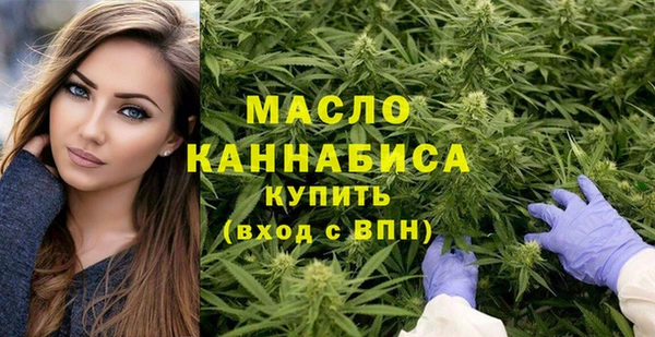 крисы Козельск
