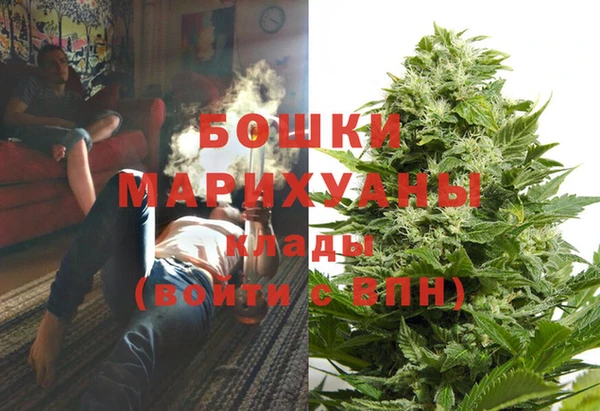 крисы Козельск