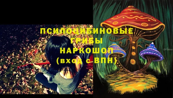мдма Кодинск
