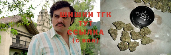 шишки Козловка
