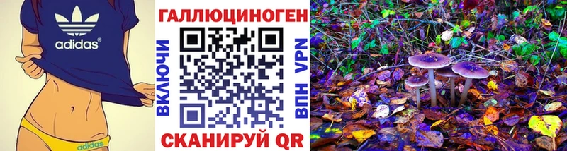 Галлюциногенные грибы Magic Shrooms  Купить  Новотроицк 